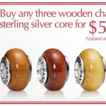 save $67 on Pandora wooden beads sale image